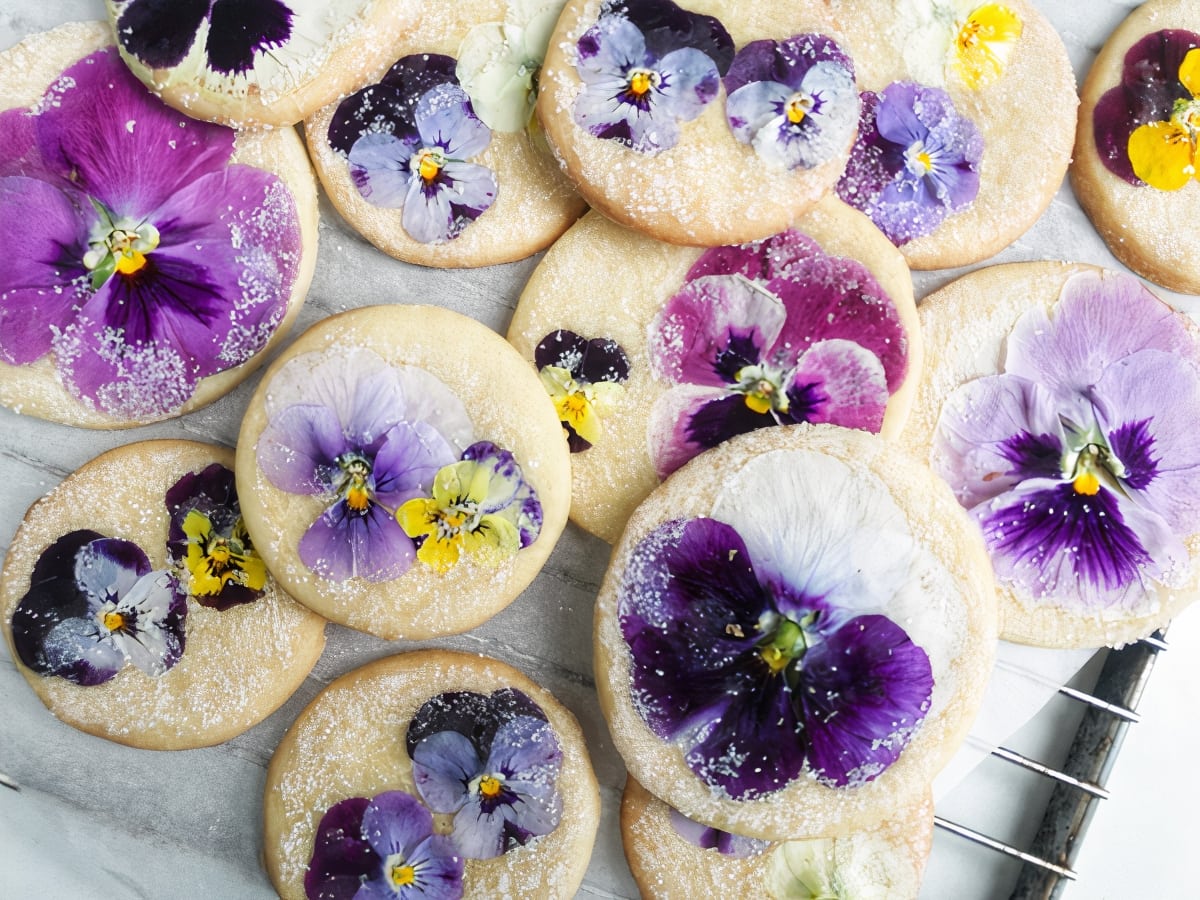 ciasteczka maślane z bratkami